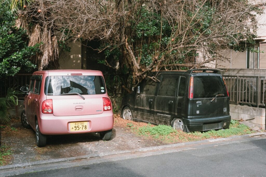 Two cars parked under overgrown trees