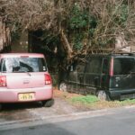 Two cars parked under overgrown trees